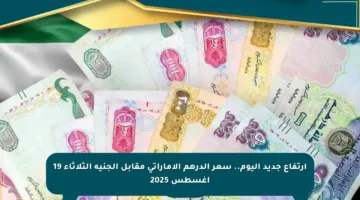 ارتفاع جديد اليوم.. سعر الدرهم الإماراتي مقابل الجنيه الثلاثاء 19 أغسطس 2025